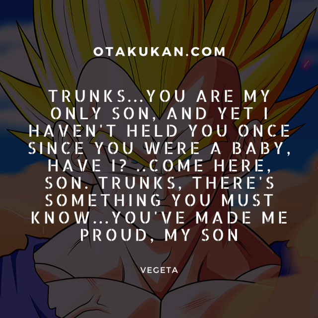 10 Best Vegeta Quotes From Dragon Ball OtaKuKan