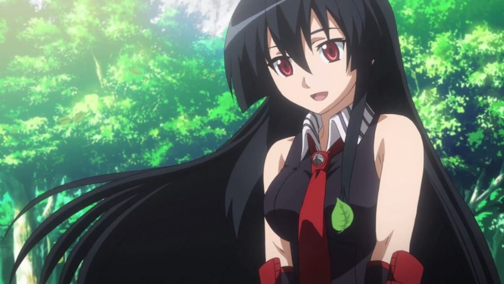 Akame - Akame ga Kill