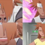 Facts About Chocho Akimichi