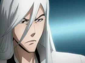 Best Jushiro Ukitake Quotes From Bleach