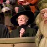 HBO's Harry Potter Series Confirms Our Hogwarts Professors