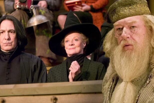 HBO's Harry Potter Series Confirms Our Hogwarts Professors