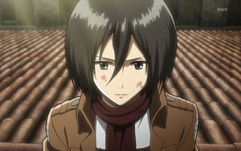 Mikasa Ackerman (Attack on Titan)