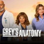 Grey's Anatomy Season 22