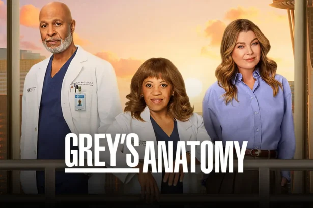 Grey's Anatomy Season 22