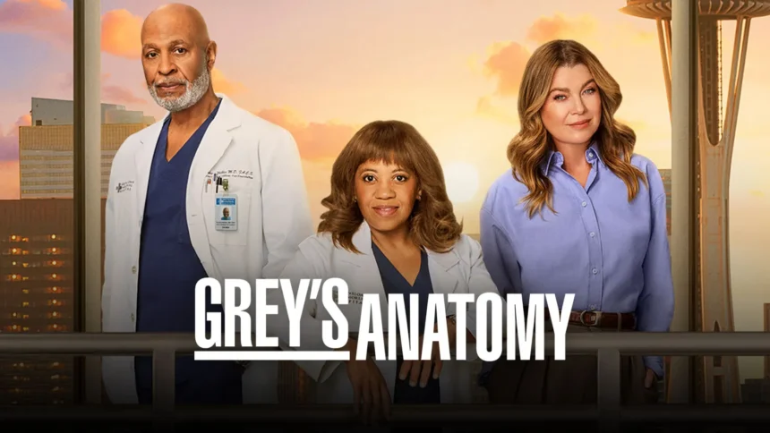 Grey's Anatomy Season 22